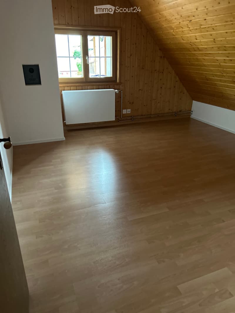 Tolle Altbau Wohnung mit Galerie und grosser Terrasse (5)