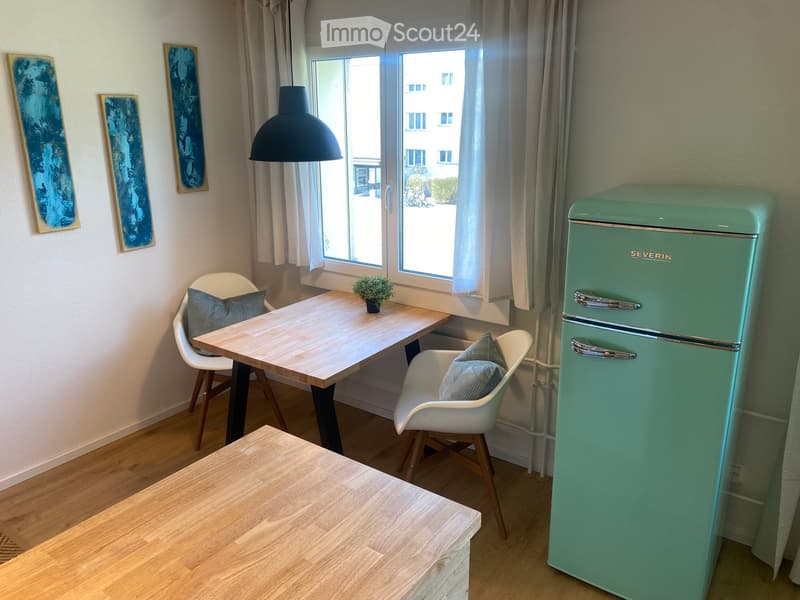 Wohnung Möbiliert (3)