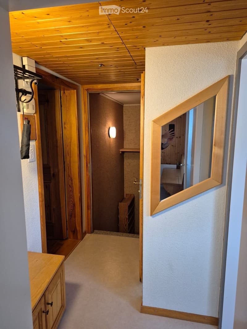 Schöne Wohnung in ruhiger ländlicher Lage nahe St.Gallen (4)