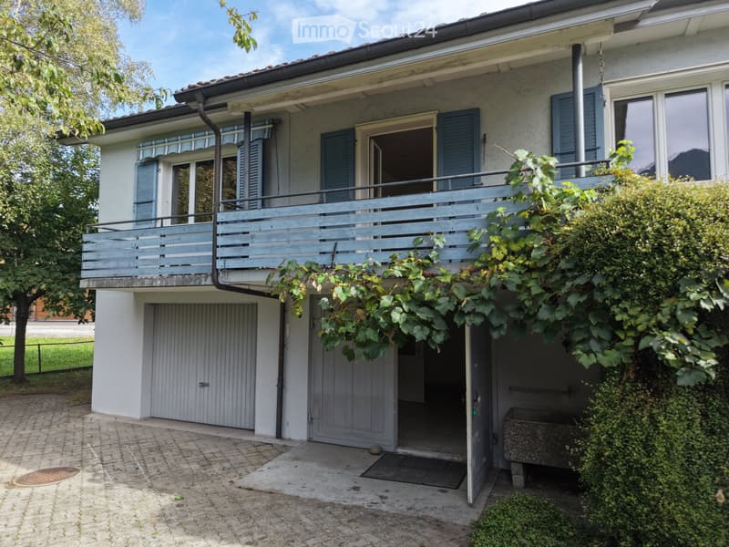 Einfamilienhaus mit grossem Umschwung (4)