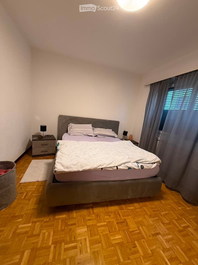 Affittasi Appartamento 3.5 locali (2)