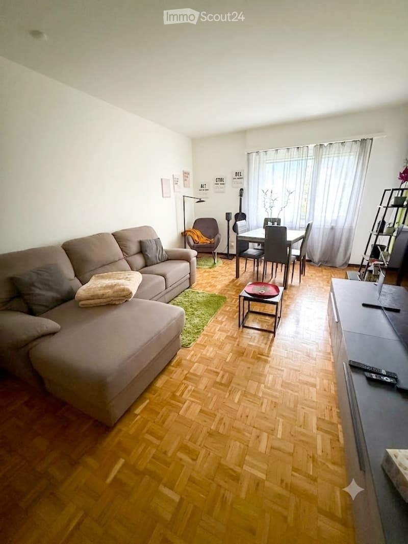 Affittasi Appartamento 3.5 locali (5)