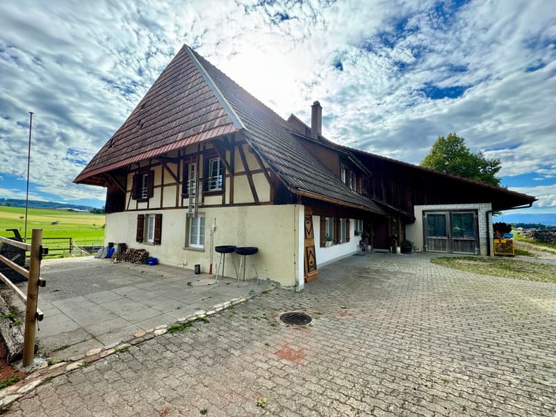 Traumwohnung auf dem Bauernhof (1)