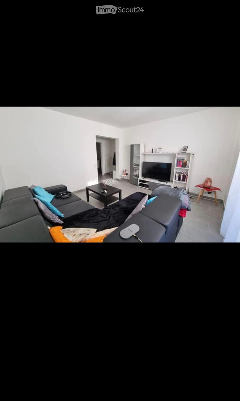 Subentrante 4.5 grande e luminoso - Lodrino (1)