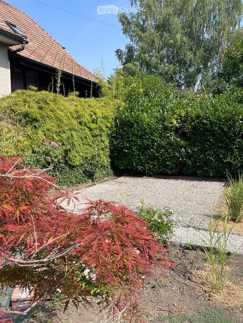 Gemütliche 3.5 Zimmer/Wohnung in ruhiger Lage (5)