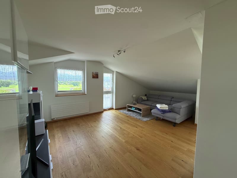 Neuwertige Dachwohnung mit Aussicht (2)