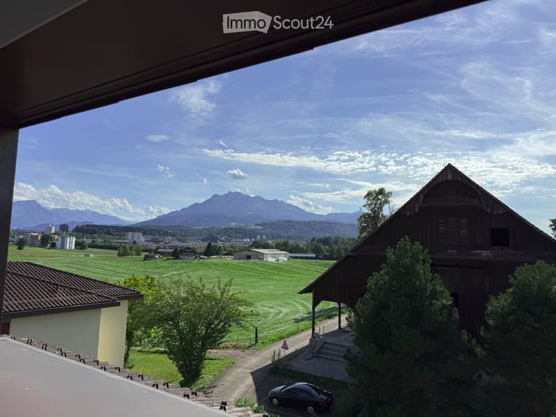 Neuwertige Dachwohnung mit Aussicht (5)