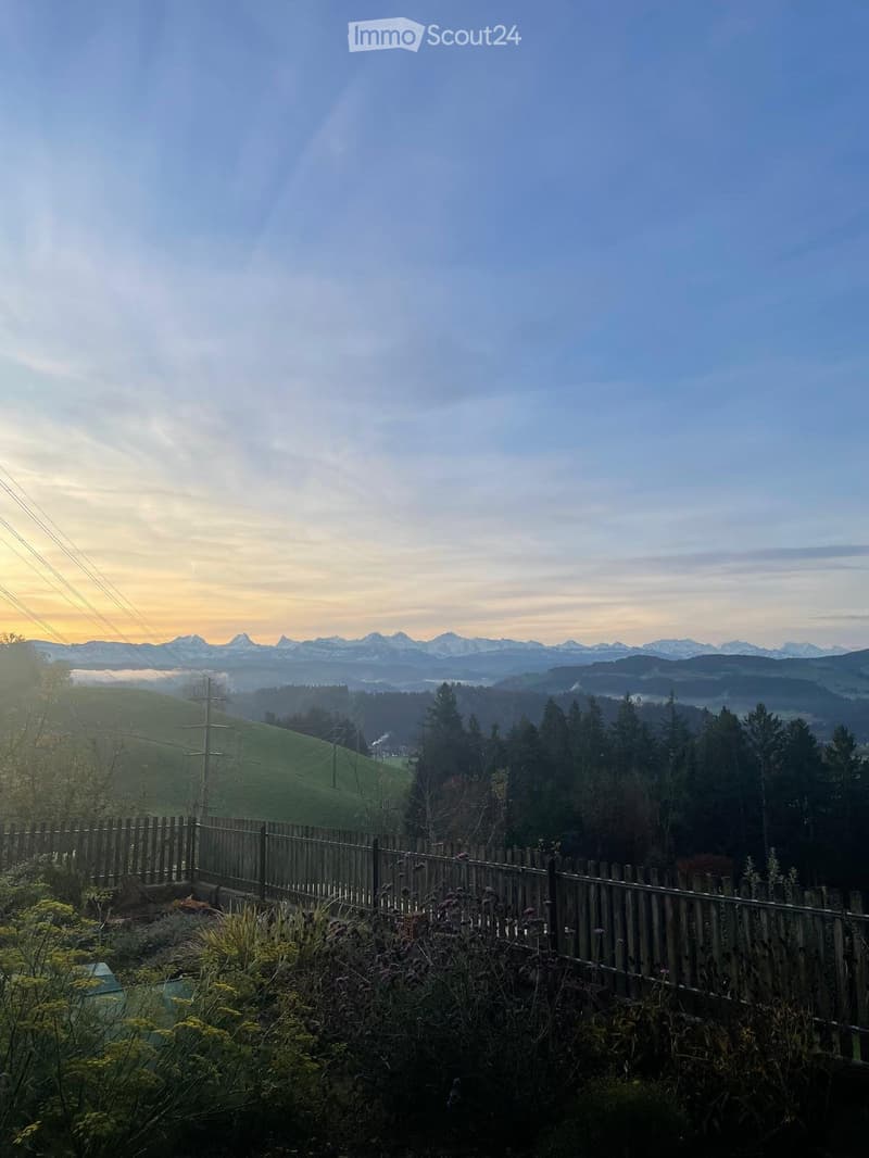Wohnung auf dem Land, mit Aussicht (1)