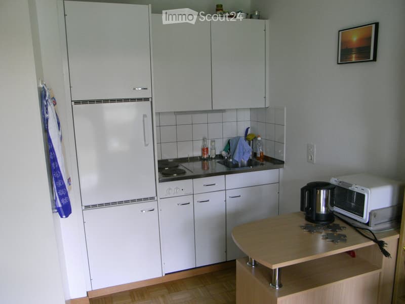 1 1/2 - Zi - Wohnung in ruhigem Haus, grosser Balkon (2)