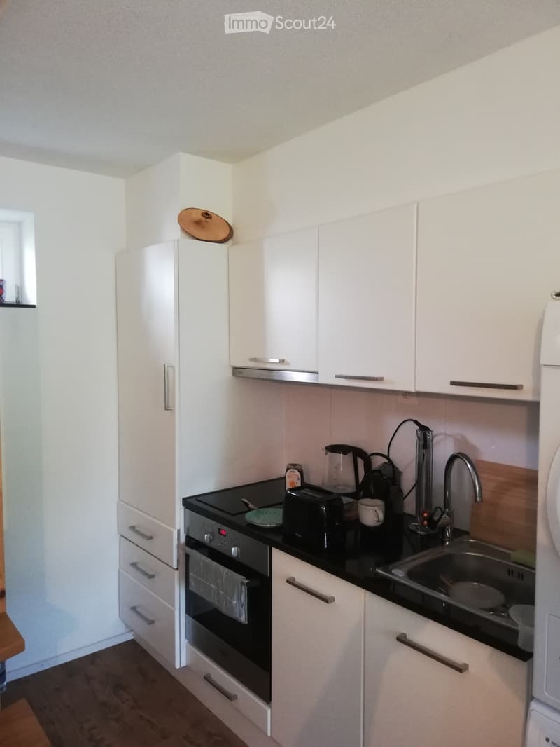 Wohnung mit 2 Etaggen (1)