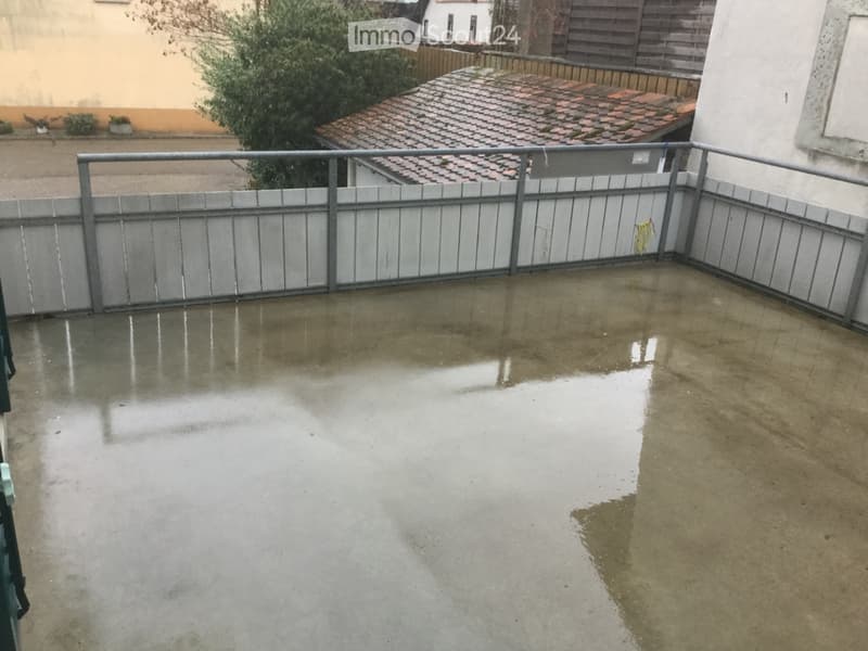 Schöne 3,5 Zimmer Wohnung (4)