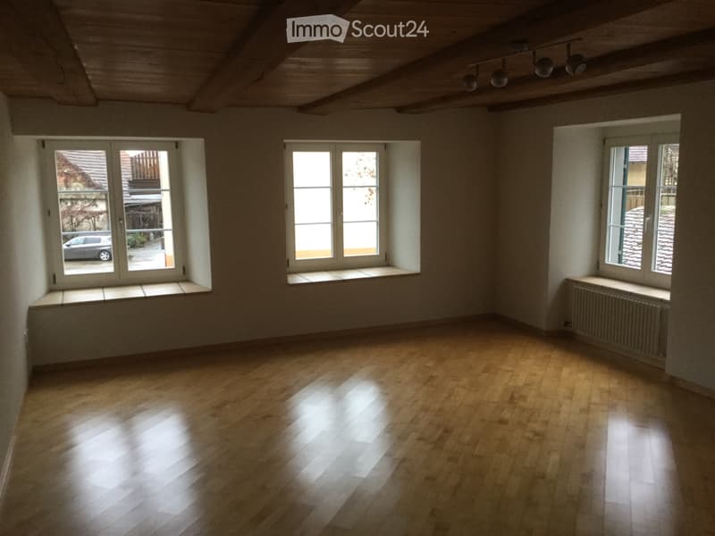 Schöne 3,5 Zimmer Wohnung (3)