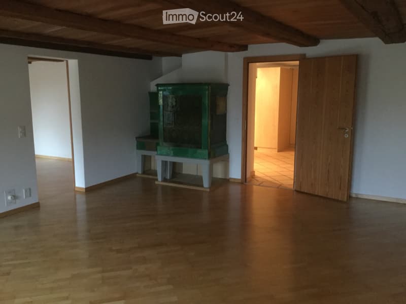 Schöne 3,5 Zimmer Wohnung (2)