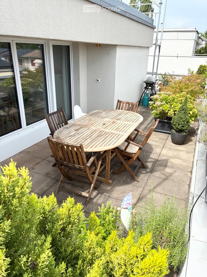 Charmante 3.5-Zimmer-Attikawohnung in Allschwil (1)