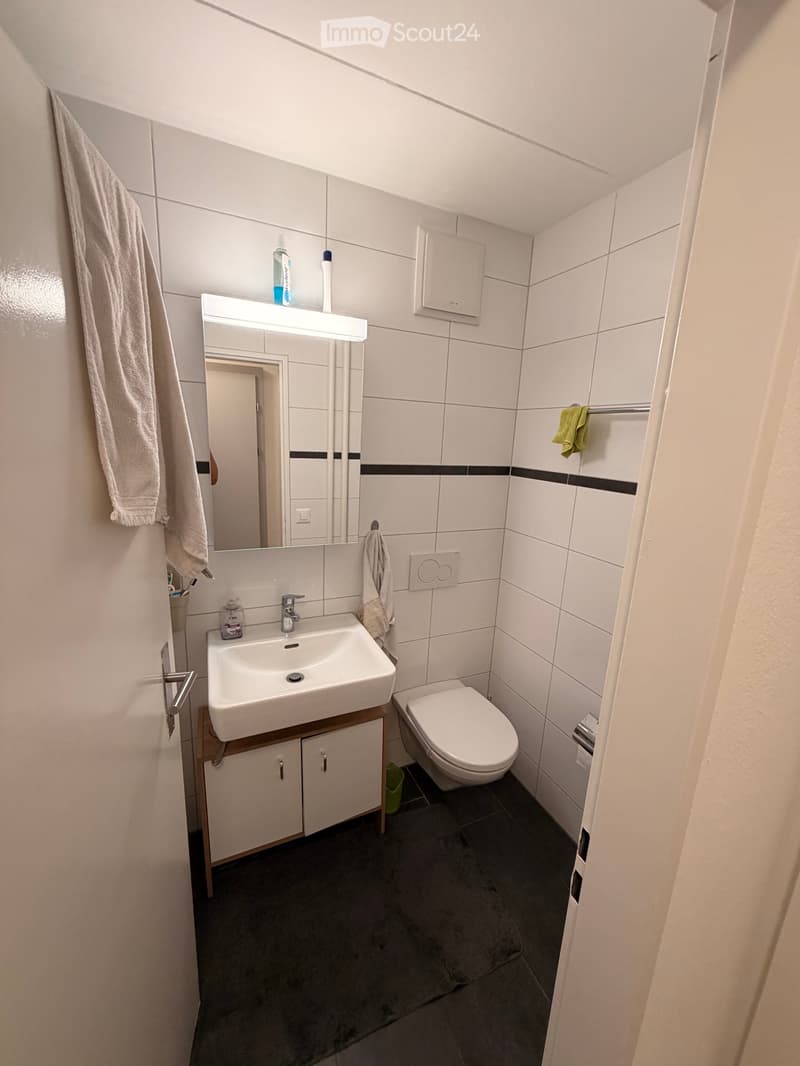 ++WG Zimmer frei++ helle möbilierte Wohnung mit Balkon EG (5)