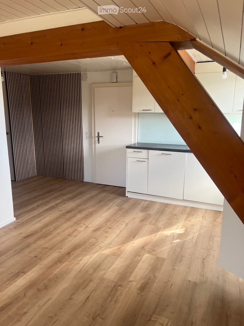 2,5-Zimmer-Wohnung in Biberist (5)
