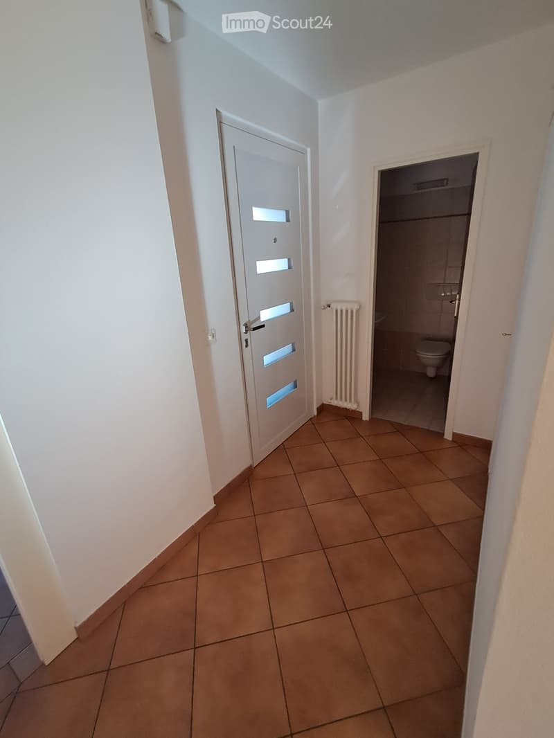 Appartamento a Pregassona 4,5 locali (5)