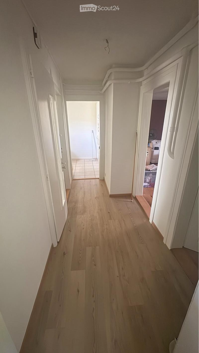 Nachmieter gesucht (2)