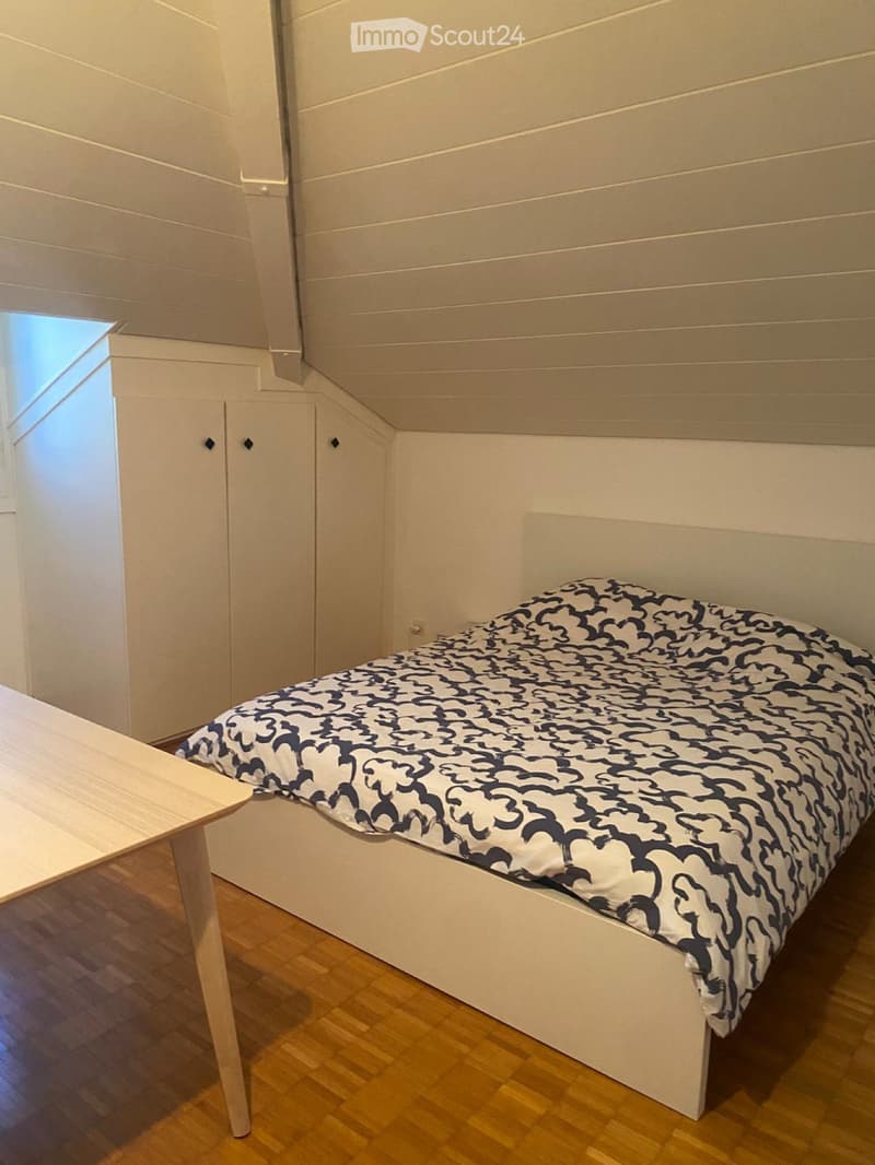 Bellinzona - 3.5 locali mansardato (3)