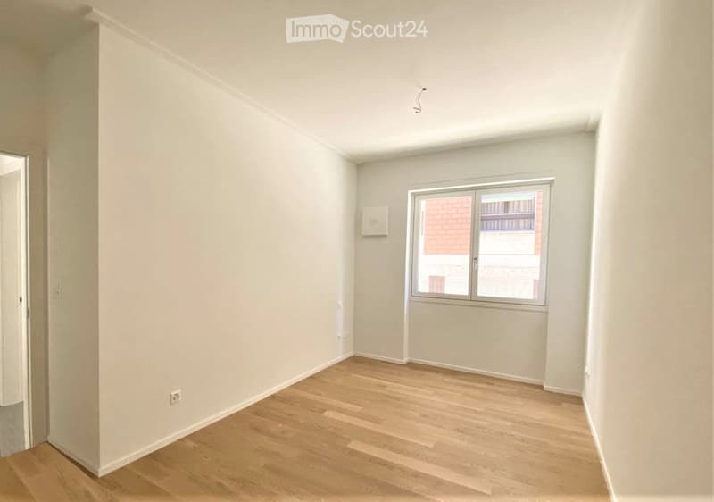 Ampio appartamento 3.5 locali in centro Lugano (4)