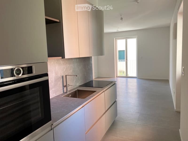 Ampio appartamento 3.5 locali in centro Lugano (3)