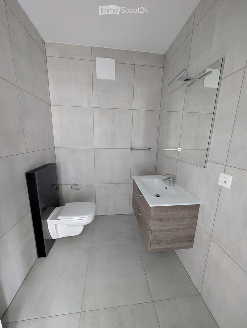 Moderno 4.5 locali a Paradiso (3)