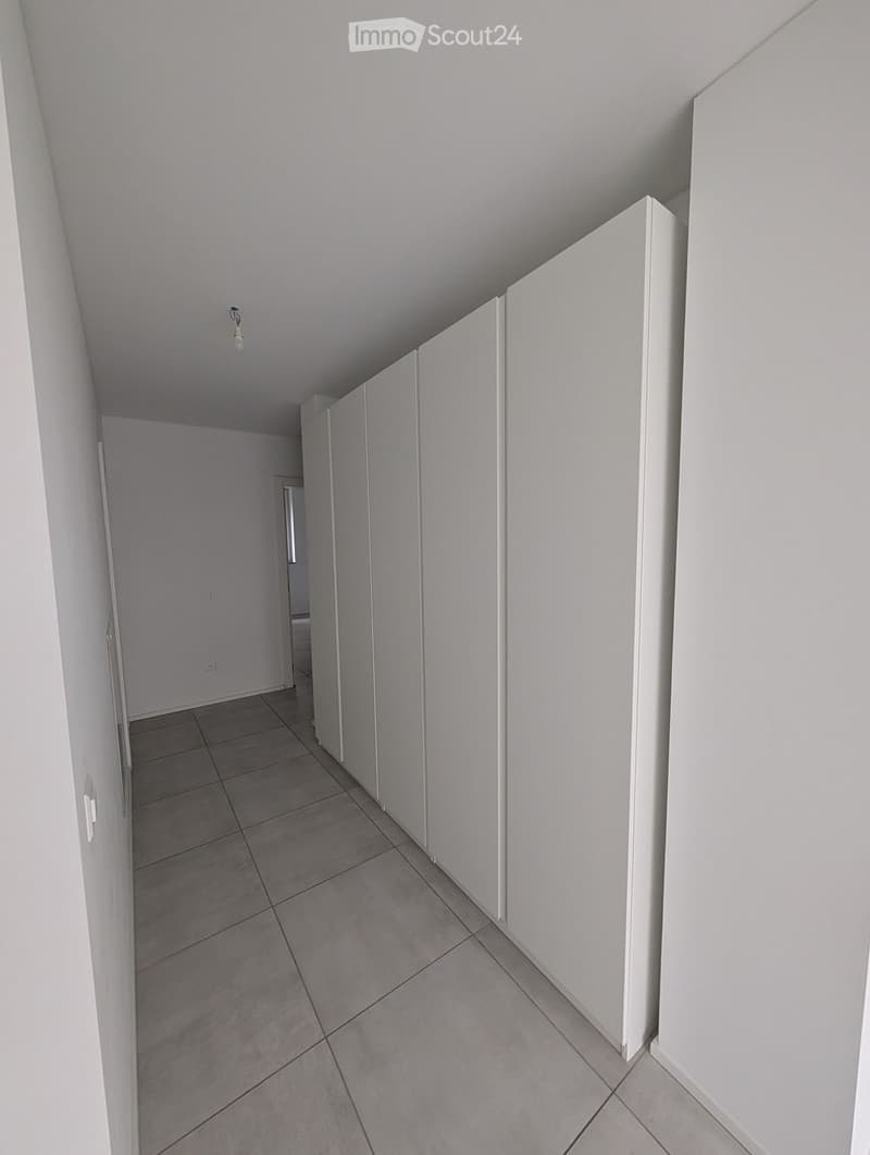 Moderno 4.5 locali a Paradiso (5)