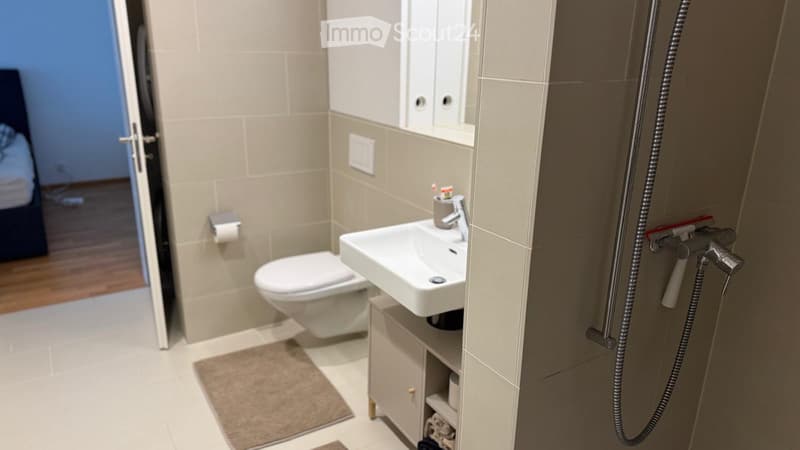 Traumhafte 2.5-Zimmer-Wohnung in Pfäffikon ZH (5)