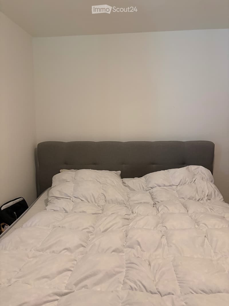 Schöne 2.5 Zimmerwohnung, 1. OG (5)