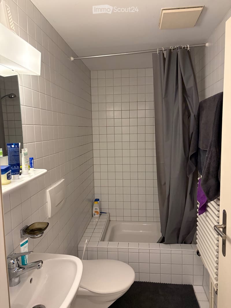 Schöne 2.5 Zimmerwohnung, 1. OG (4)