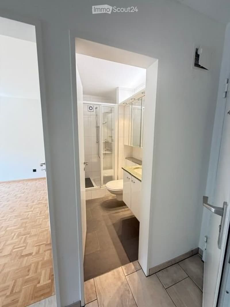 2-Zimmer-Wohnung in Altstetten(inkl. NK) (5)