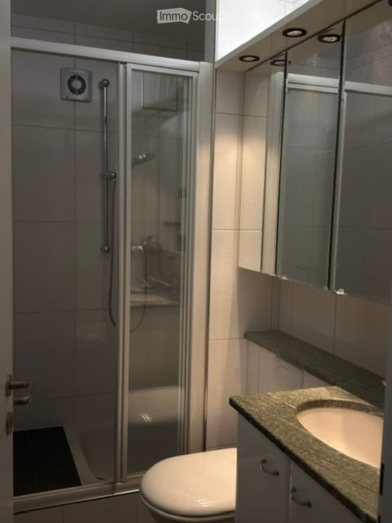 2-Zimmer-Wohnung in Altstetten(inkl. NK) (3)
