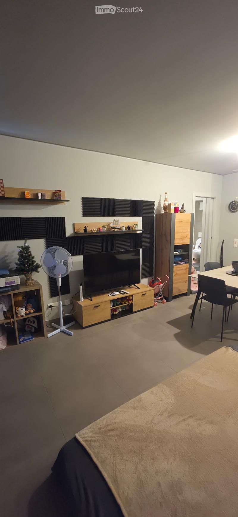 Subentrante - 2,5 Locali (Ascona) (1)