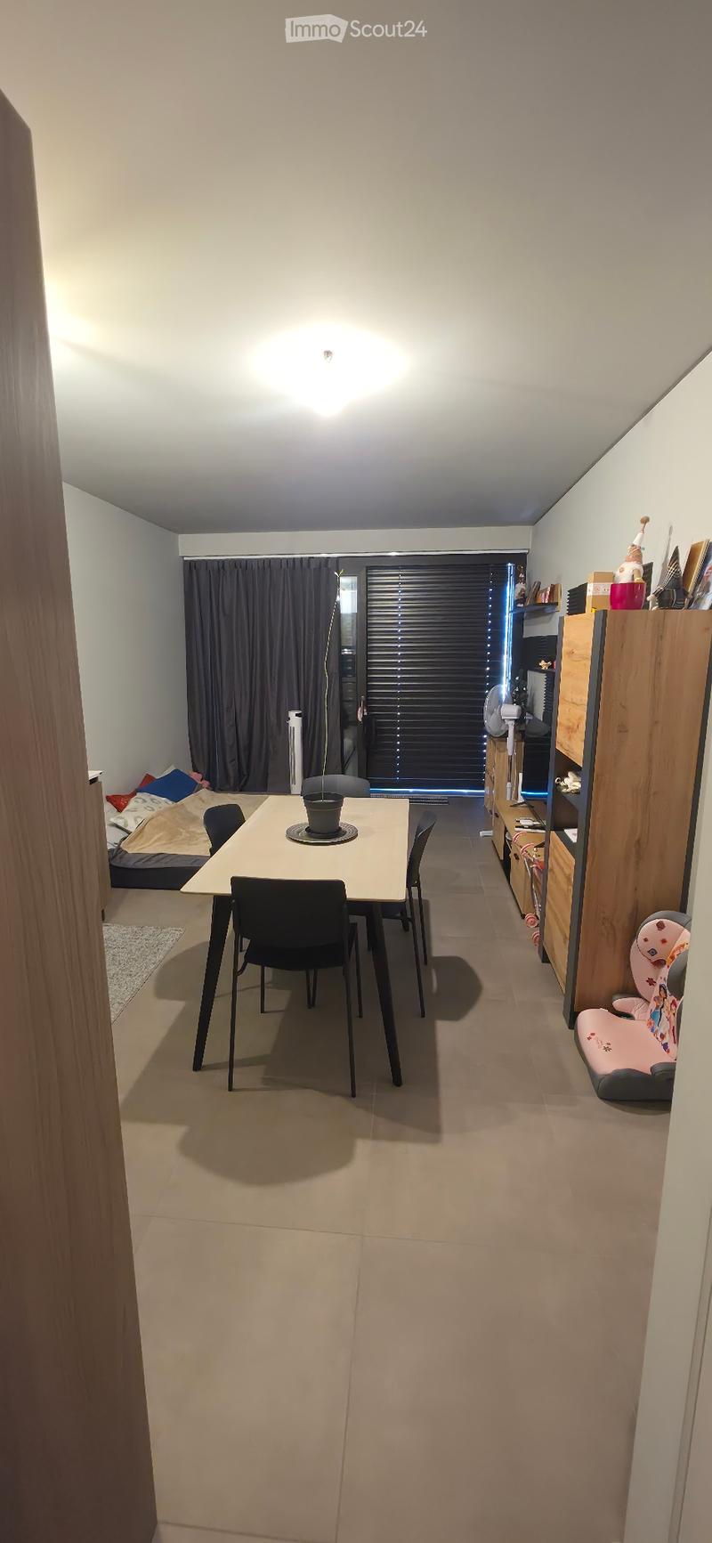 Subentrante - 2,5 Locali (Ascona) (2)
