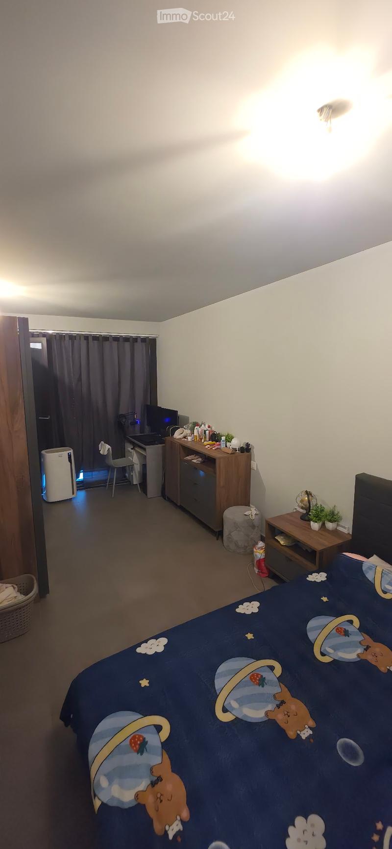 Subentrante - 2,5 Locali (Ascona) (4)