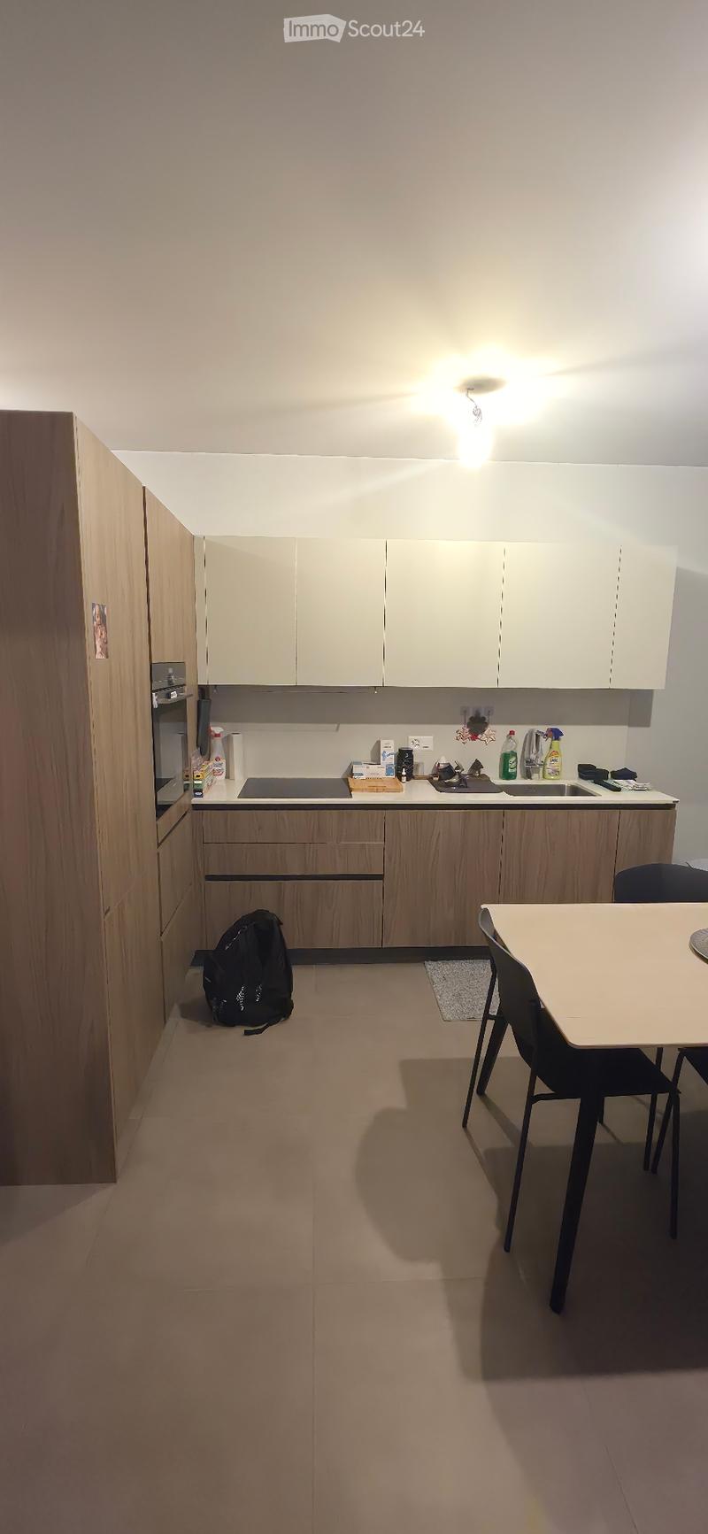 Subentrante - 2,5 Locali (Ascona) (3)