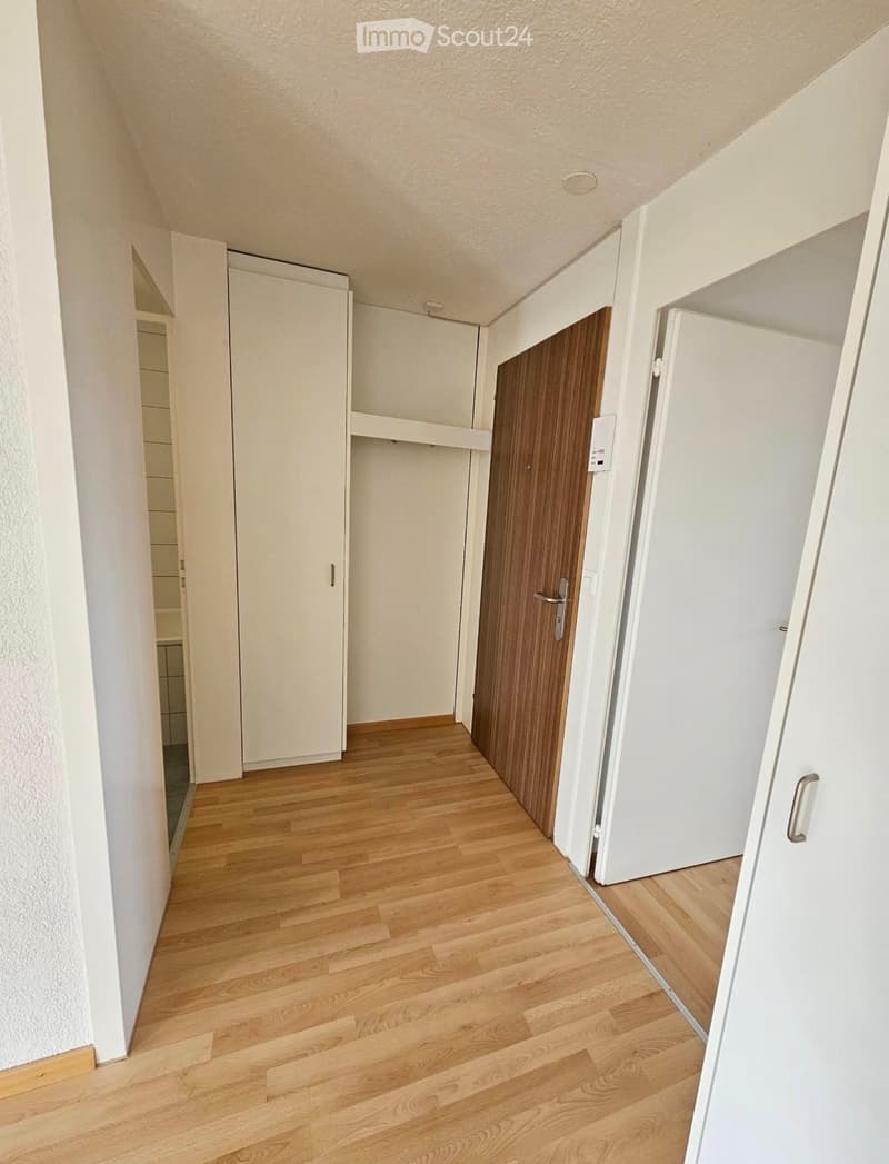Helle 3.5 Zimmer-Wohnung (4)