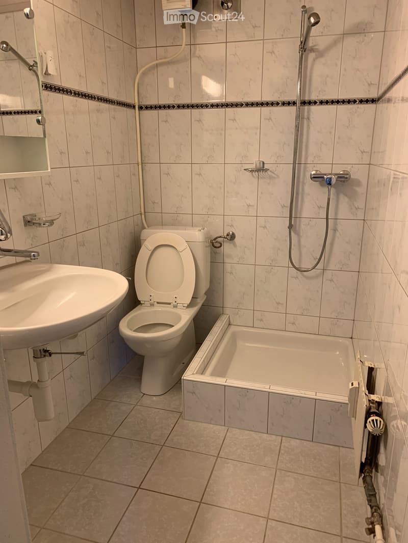 3 1/2 Zimmer Altstadtwohnung (5)