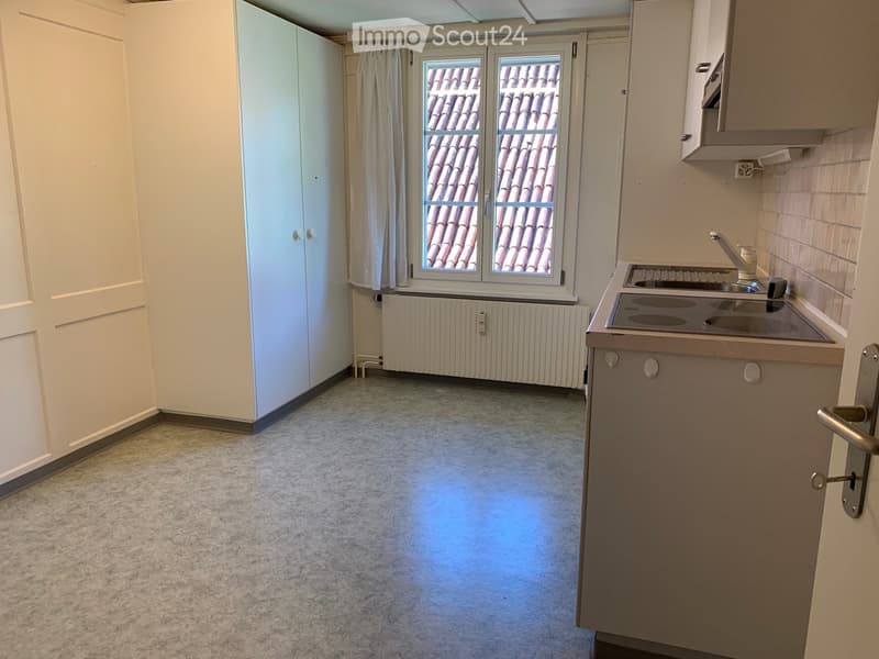 3 1/2 Zimmer Altstadtwohnung (4)