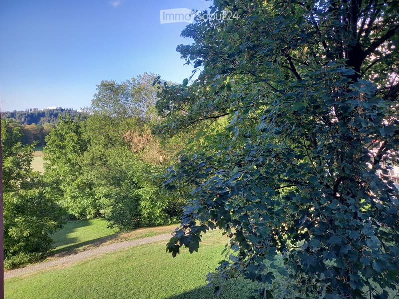 Erstbezug nach Renovierung mit Blick ins Grüne (5)