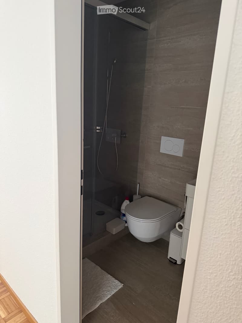 4.5 Zimmer Wohnung (4)
