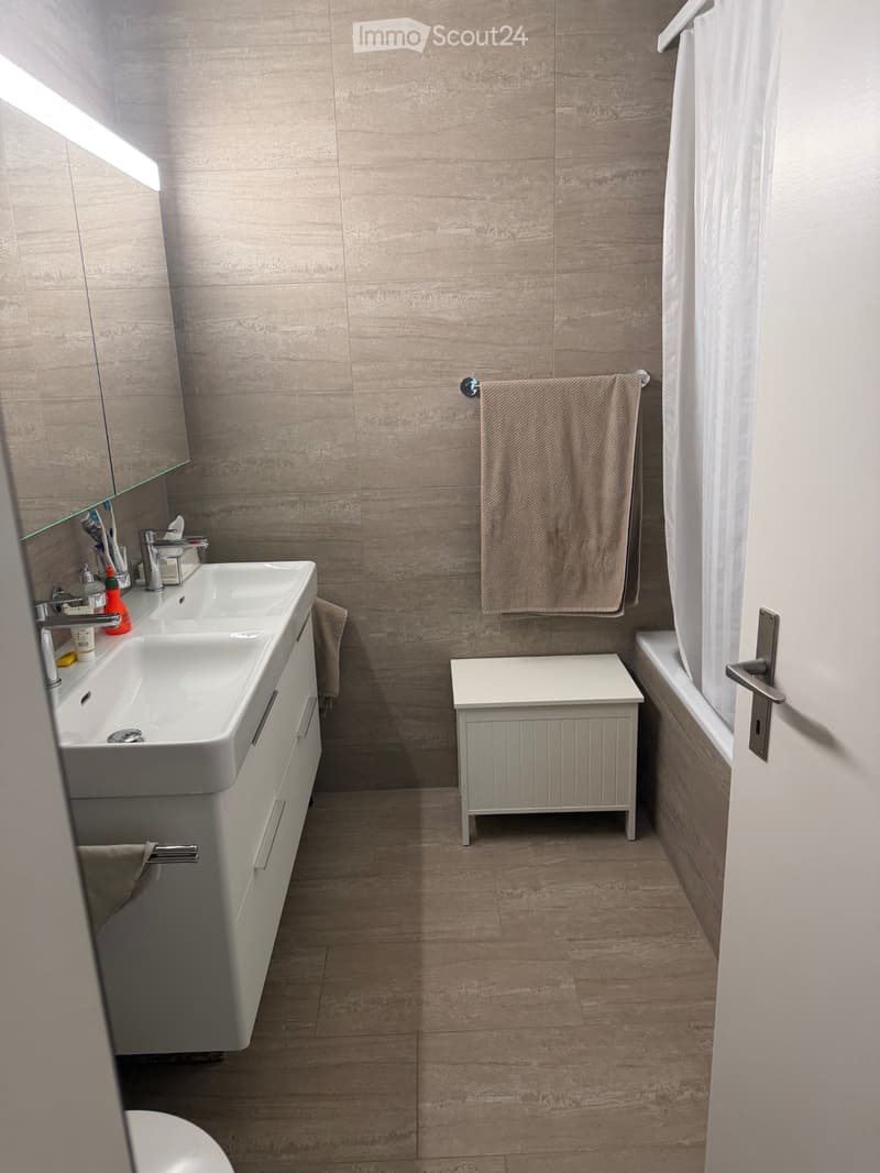 4.5 Zimmer Wohnung (3)