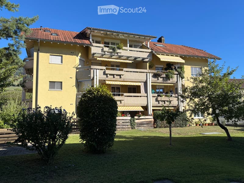 Attraktive 3,5 Zi-Wohnung, kürzlich renoviert (1)
