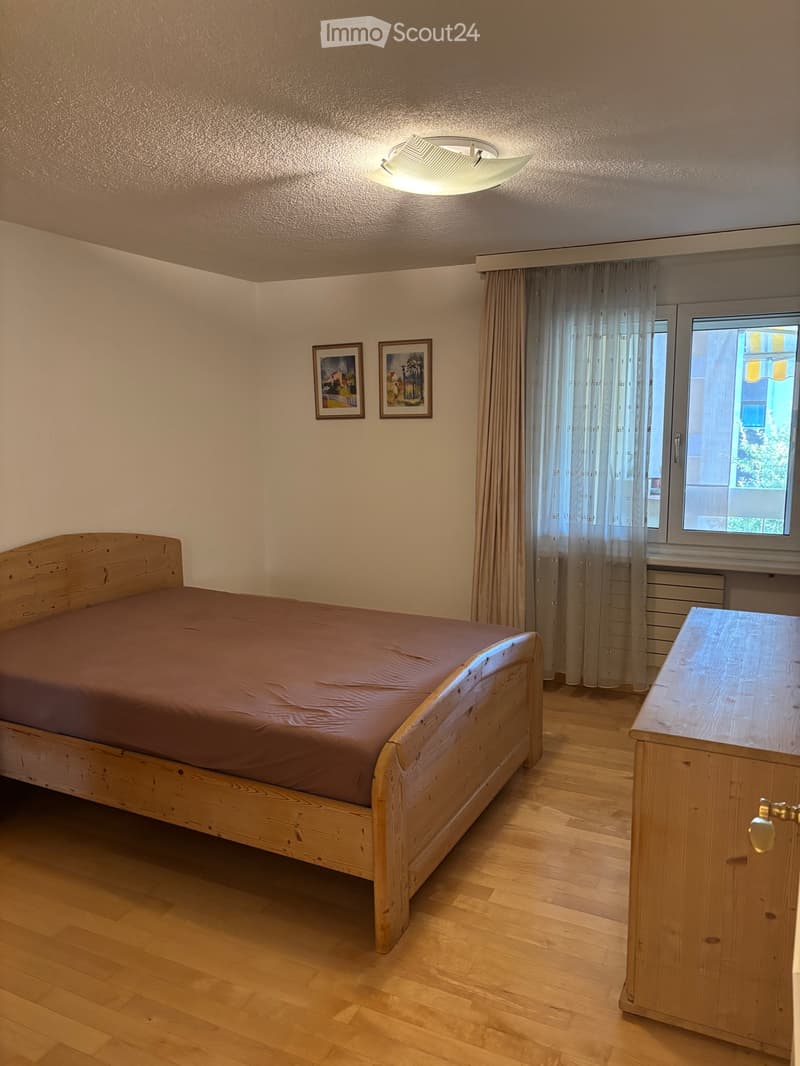 Attraktive 3,5 Zi-Wohnung, kürzlich renoviert (3)