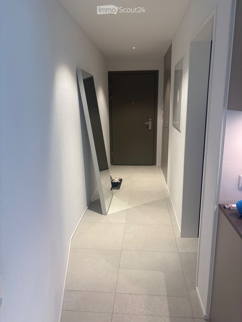 1.5Zimmer-NeubauwohnungPer sofortMiete September geschenkt! (4)