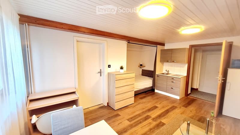 Zentrale grosszügige 30m2 Wohnung im EG mit Gartensitzplatz (2)