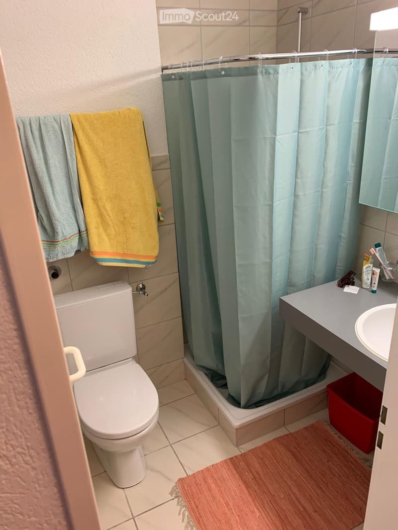 Einzimmerwohnung in der Länggasse (3)