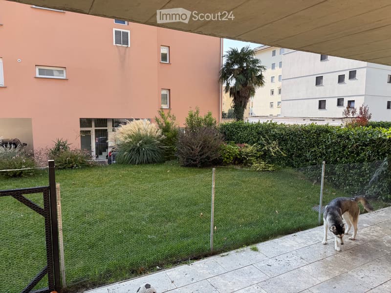 Recente e spazioso 2.5 con giardino (3)