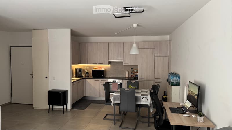Bel 2.5 Rinnovato a Chiasso (720CHF/mese) (1)