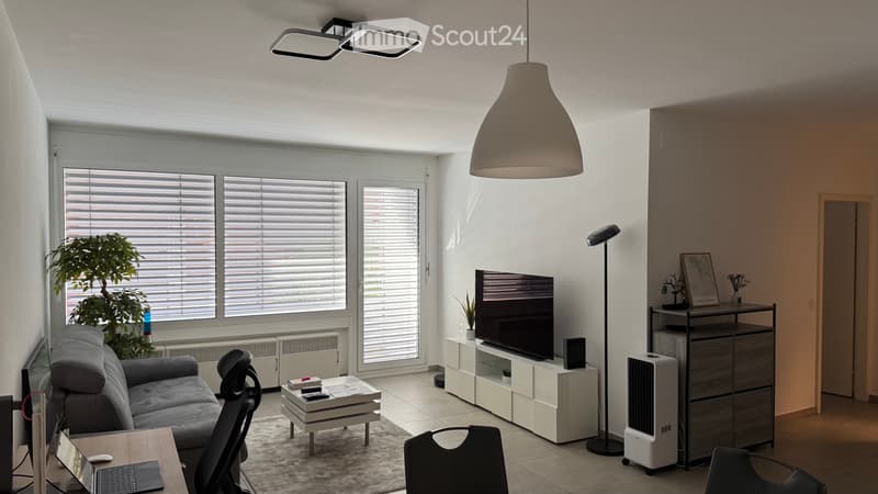 Bel 2.5 Rinnovato a Chiasso (720CHF/mese) (2)